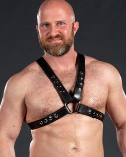 Wide Top Leather Harness 