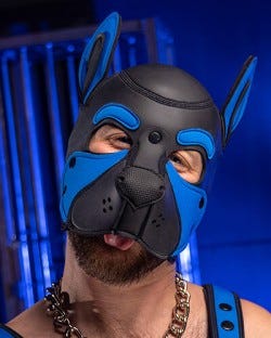 Neoprene Frisky Pup Hood - Cobalt