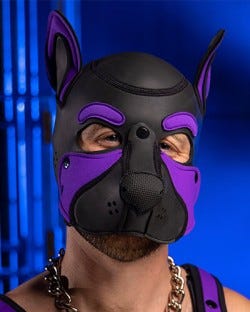 Neoprene Frisky Pup Hood - Purple